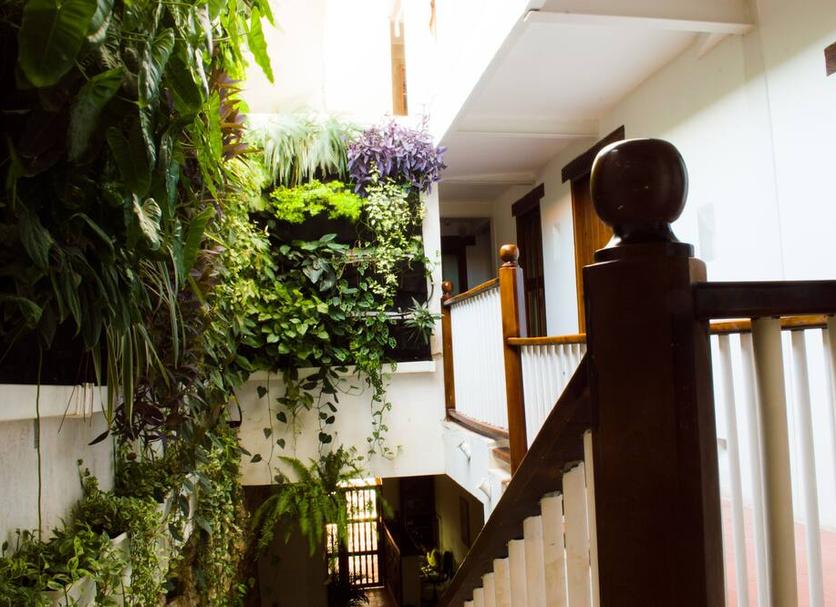 Cảnh ngoài trời Ảnh