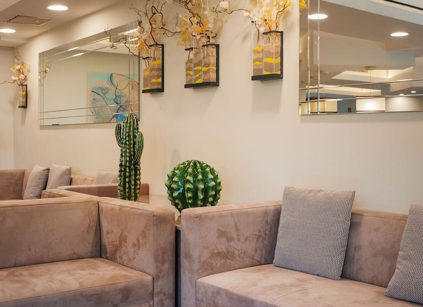 Lounge Ảnh