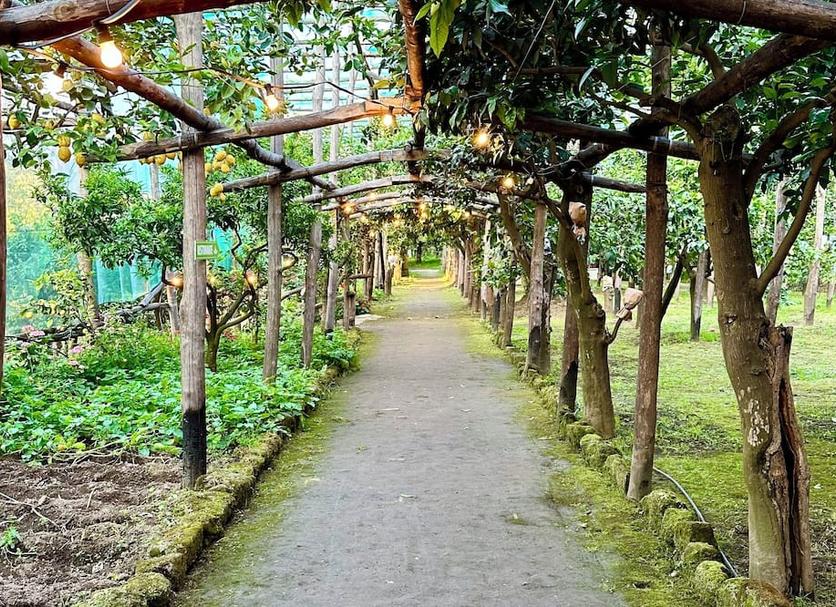 Cảnh ngoài trời Ảnh