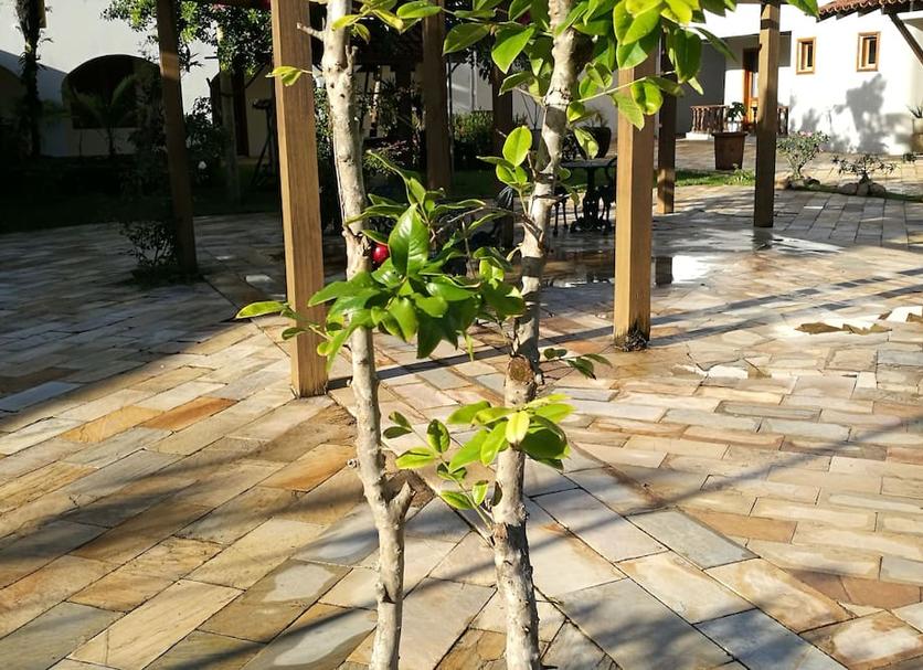 Cảnh ngoài trời Ảnh