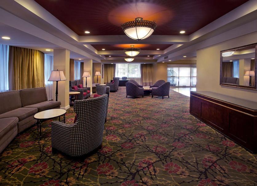 Lounge Ảnh