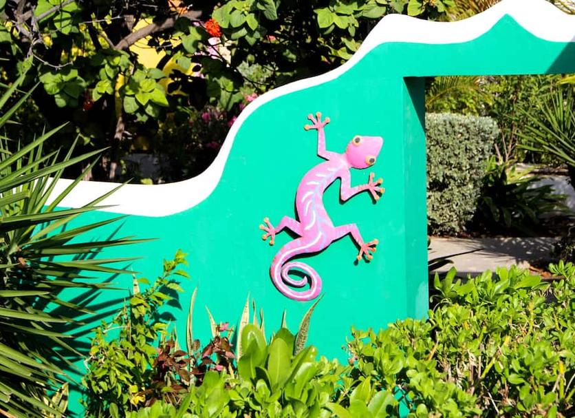 Cảnh ngoài trời Ảnh