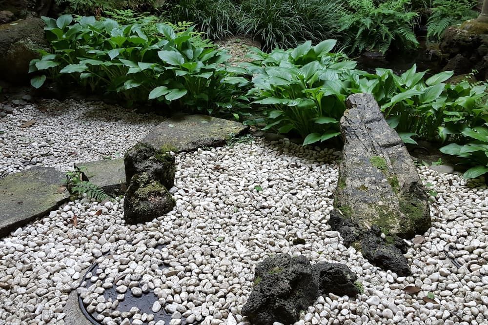 Cảnh ngoài trời