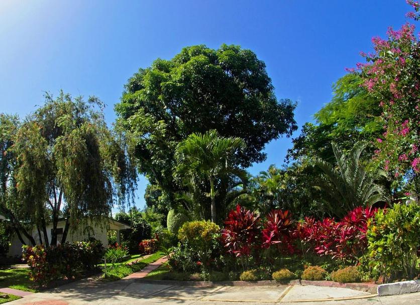 Cảnh ngoài trời Ảnh