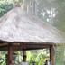 Cảnh ngoài trời