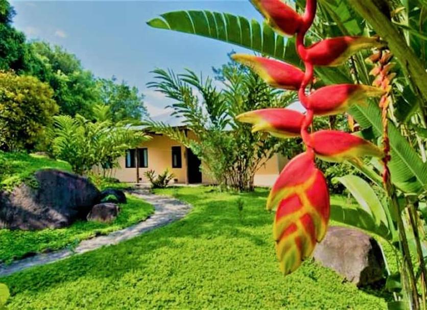 Cảnh ngoài trời Ảnh