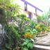 Cảnh ngoài trời