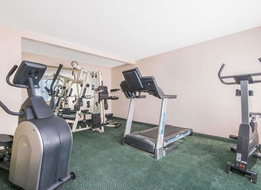 Gym Ảnh