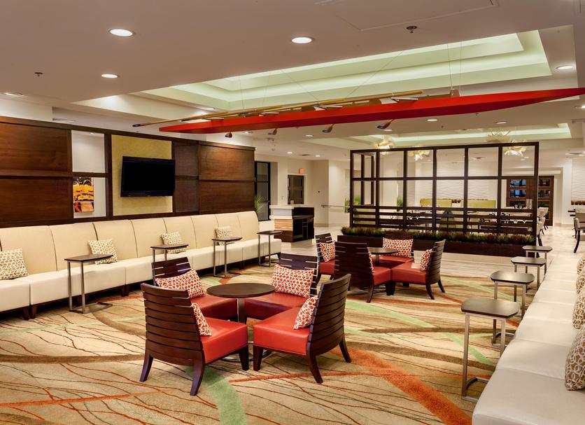 Lounge Ảnh