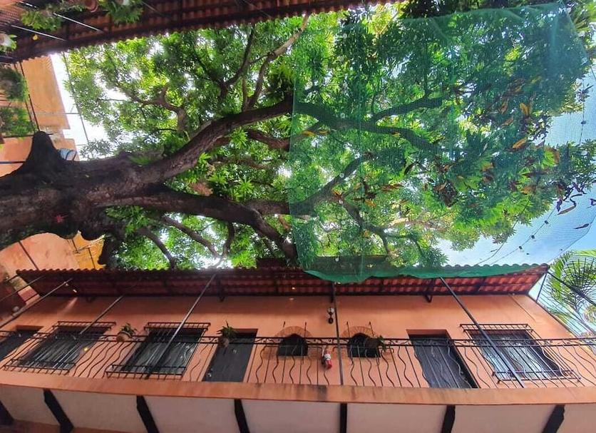 Cảnh ngoài trời Ảnh