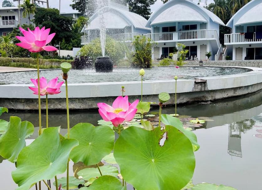 Cảnh ngoài trời Ảnh