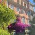 Cảnh ngoài trời