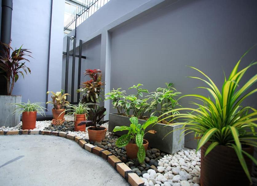 Cảnh ngoài trời Ảnh
