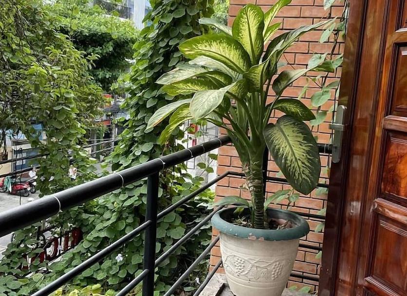Cảnh ngoài trời Ảnh