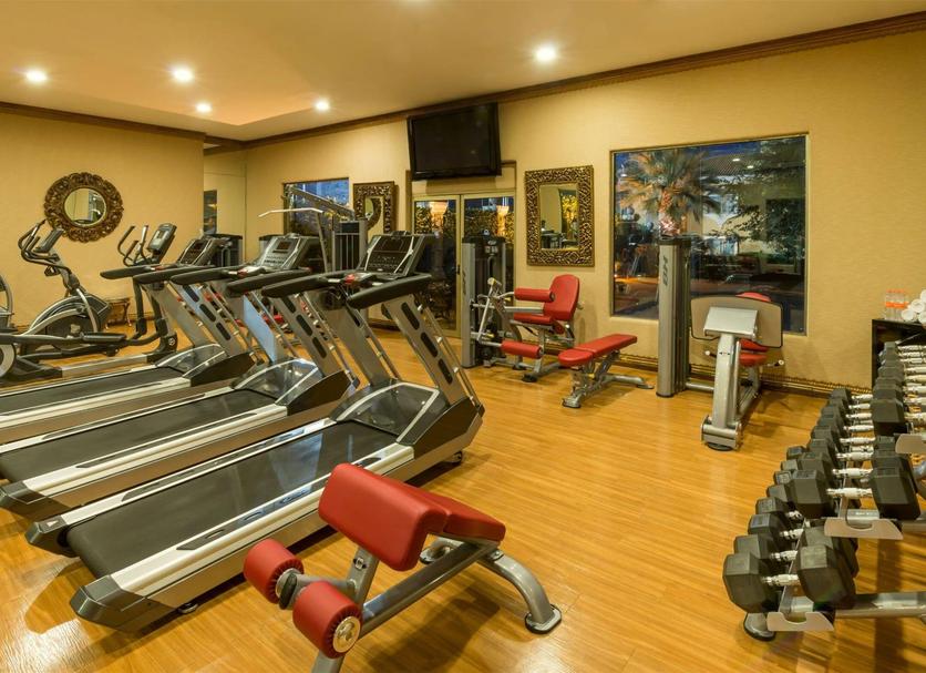 Gym Ảnh