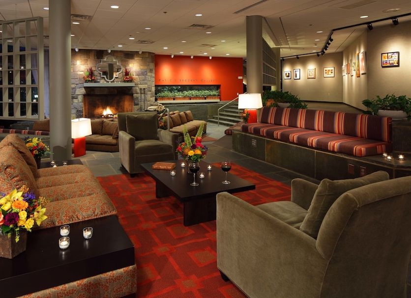 Lounge Ảnh