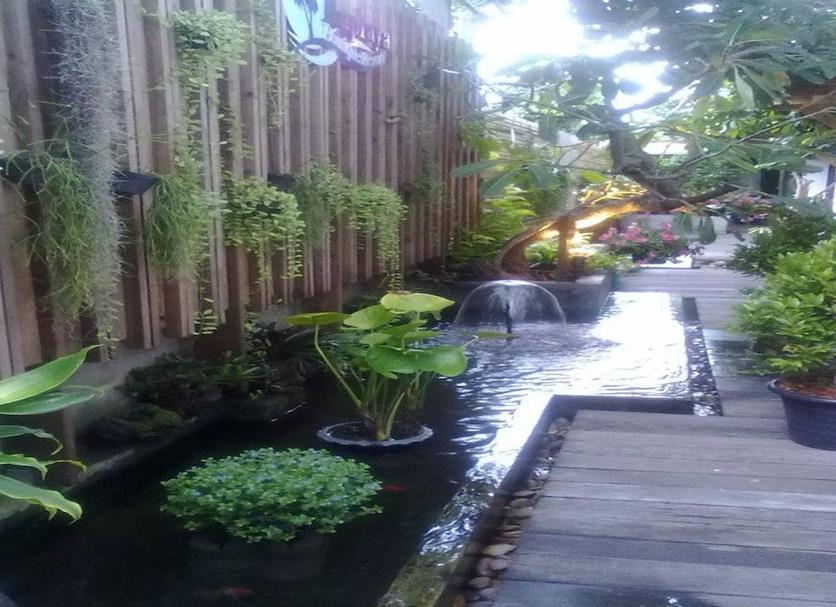 Cảnh ngoài trời Ảnh