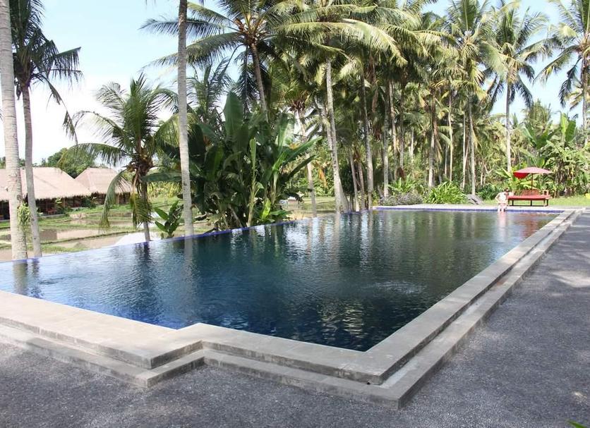 Bể bơi Ảnh