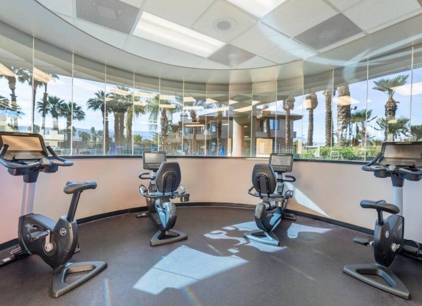Gym Ảnh