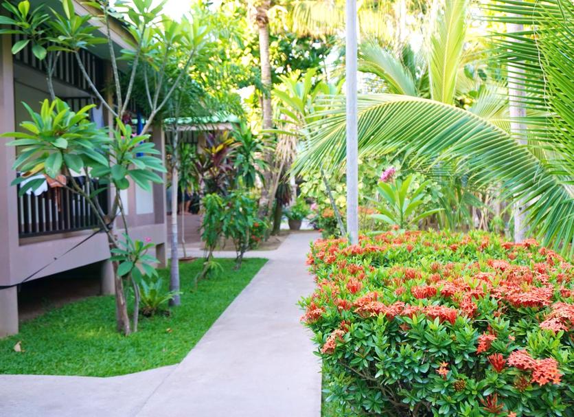 Cảnh ngoài trời Ảnh