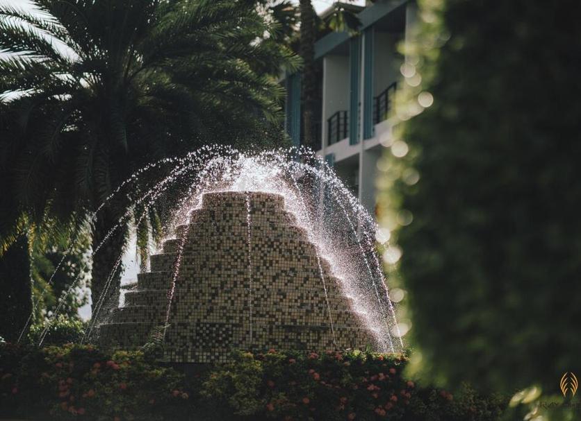 Cảnh ngoài trời Ảnh