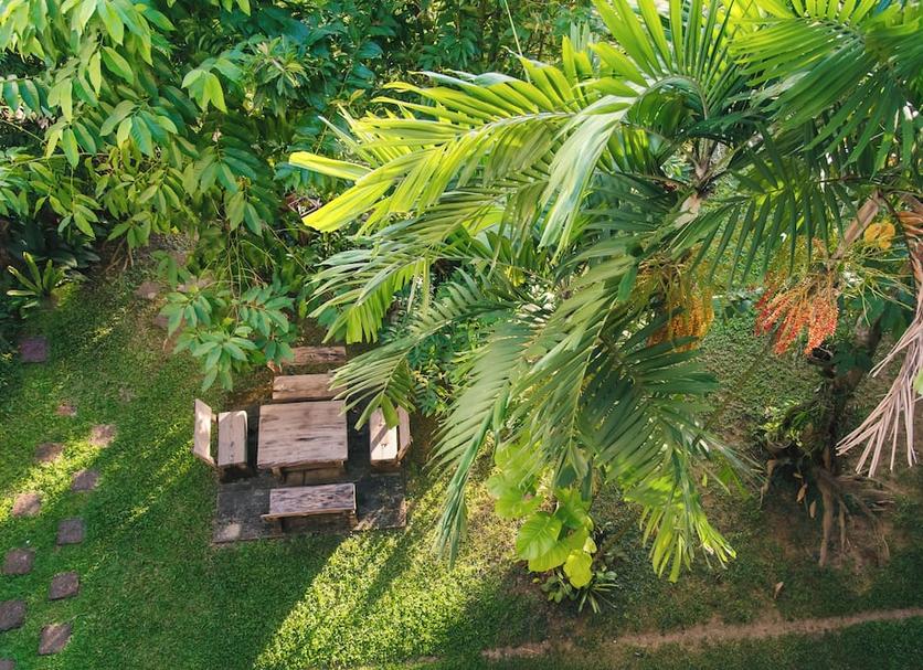 Cảnh ngoài trời Ảnh