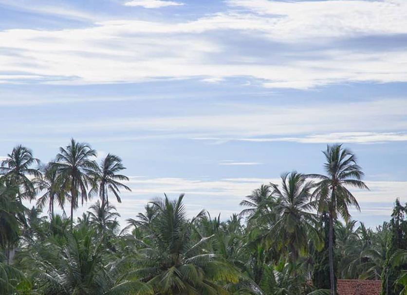Cảnh ngoài trời Ảnh