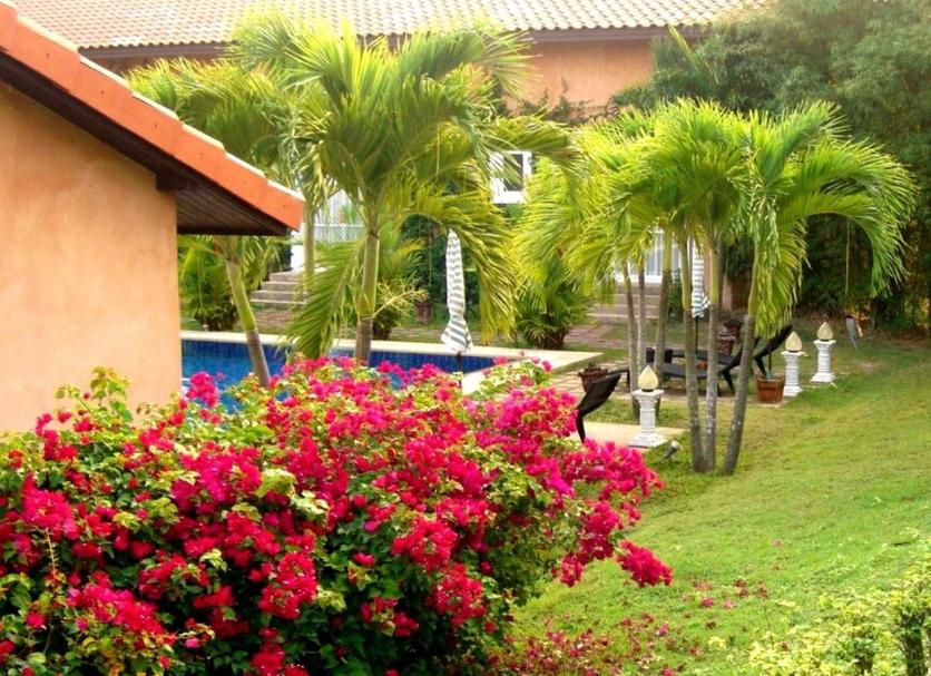 Cảnh ngoài trời Ảnh