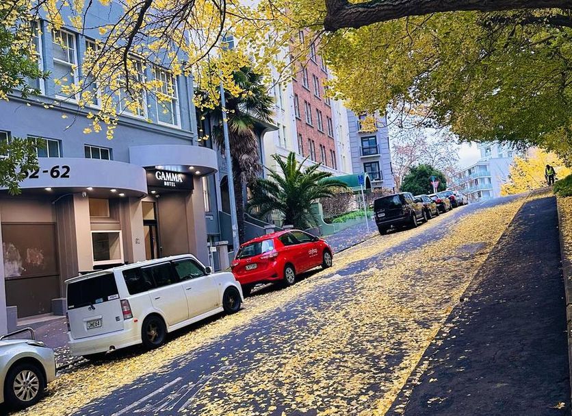 Cảnh ngoài trời Ảnh