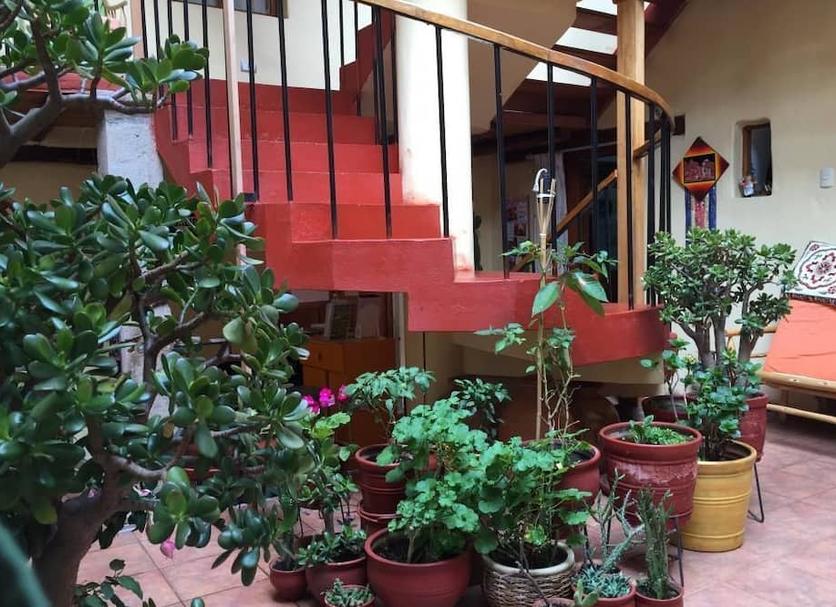 Cảnh ngoài trời Ảnh