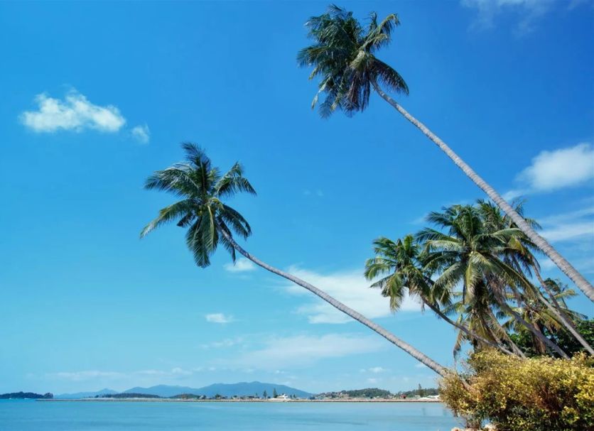 Bãi biển Ảnh