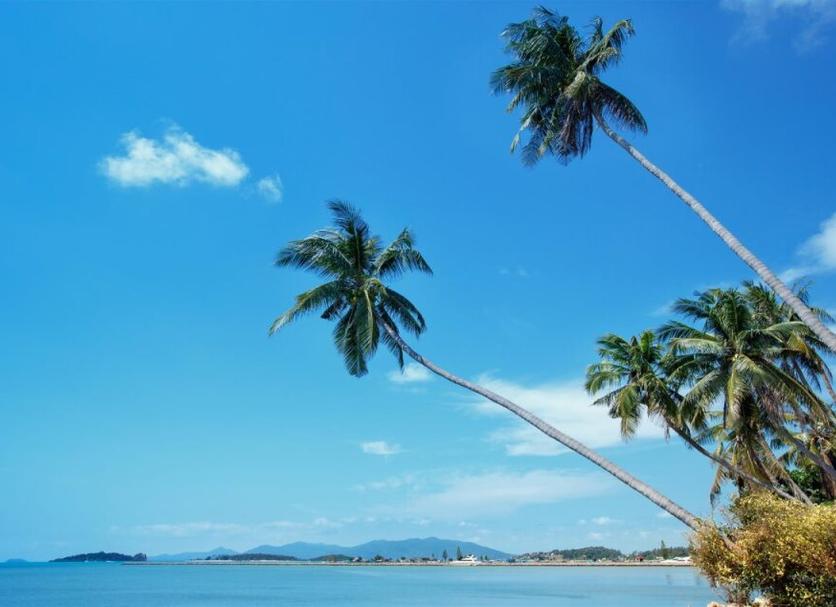 Cảnh ngoài trời Ảnh