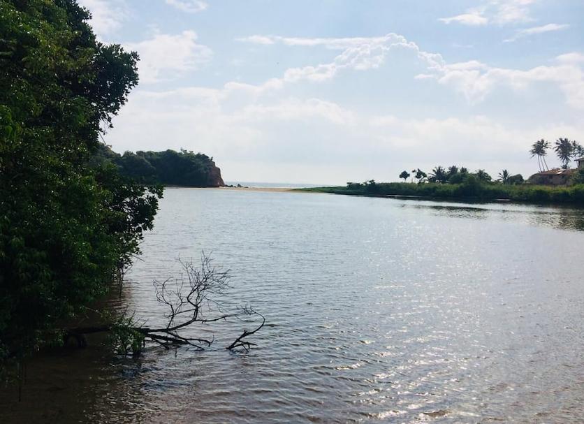 Cảnh ngoài trời Ảnh