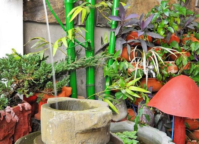 Cảnh ngoài trời Ảnh