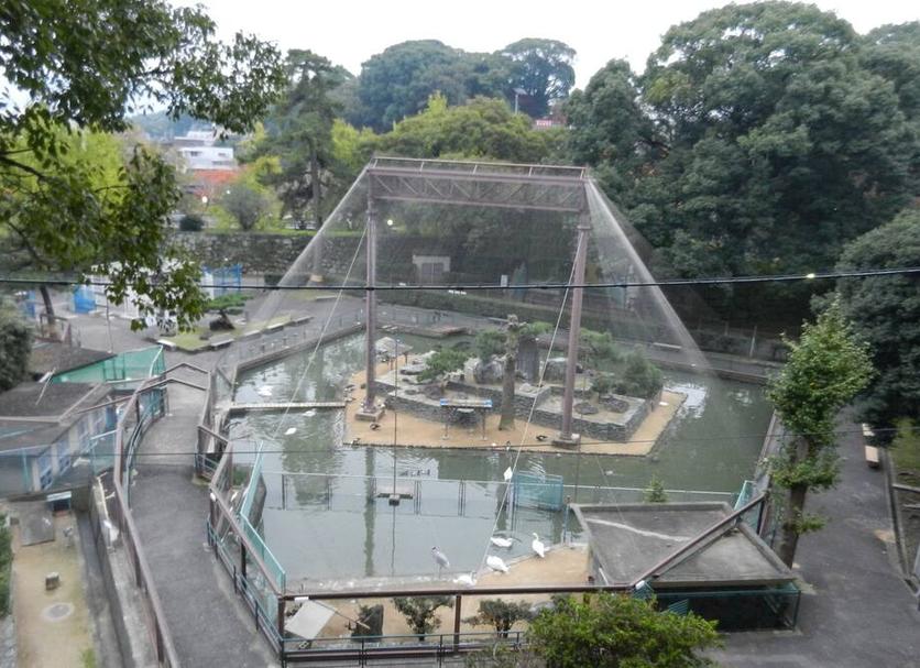 Khác Ảnh