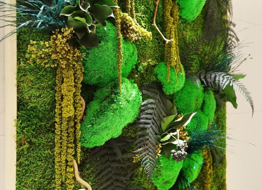 Cảnh ngoài trời Ảnh