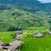 Cảnh ngoài trời