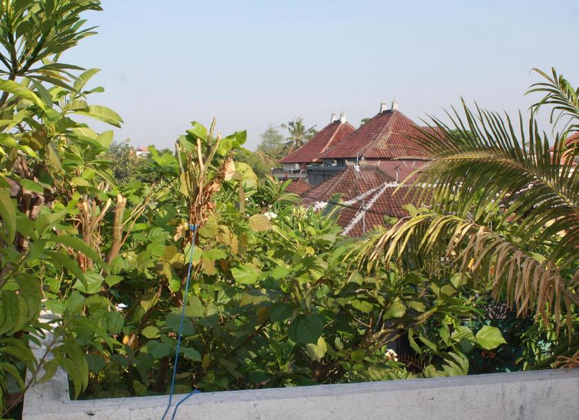 Cảnh ngoài trời Ảnh