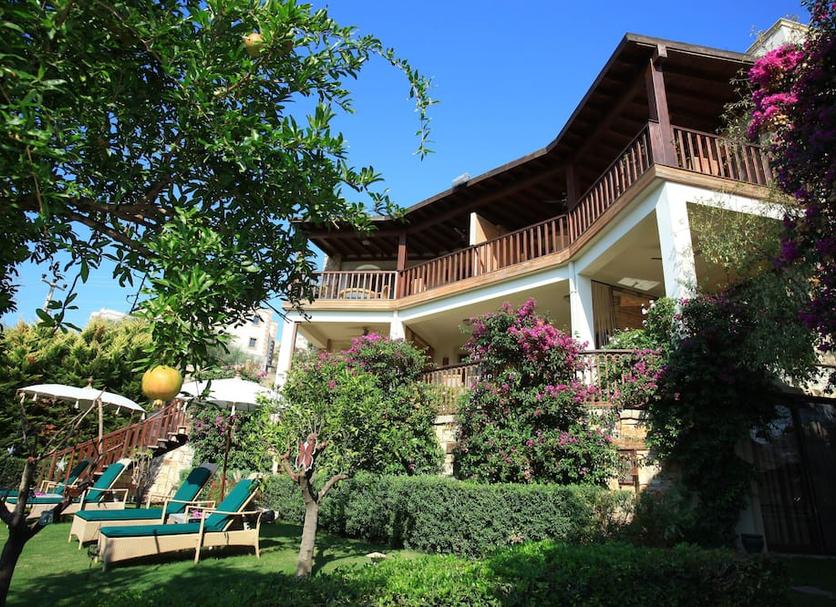 Cảnh ngoài trời Ảnh