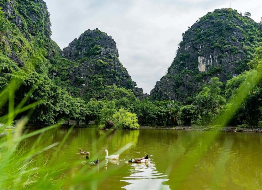 Khác Ảnh