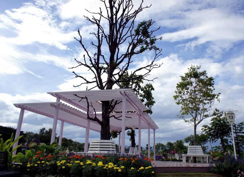 Cảnh ngoài trời Ảnh