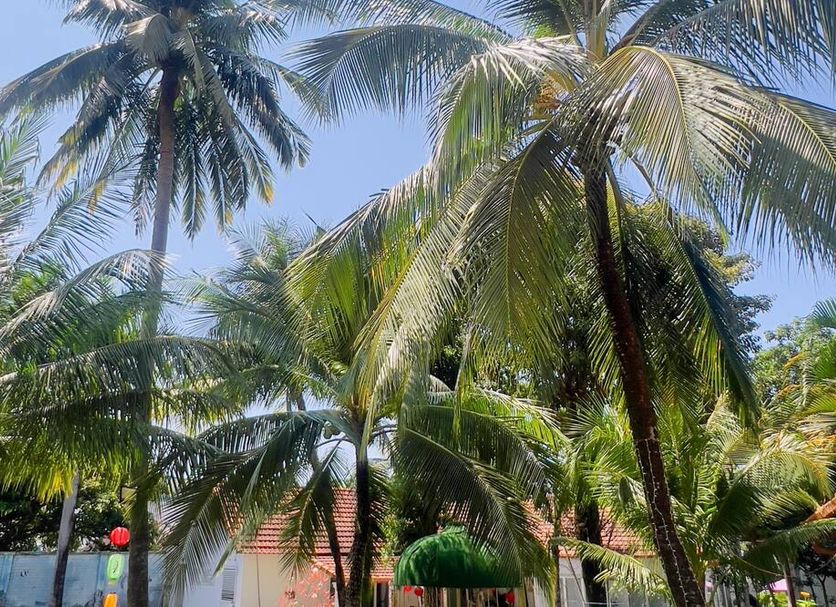 Cảnh ngoài trời Ảnh