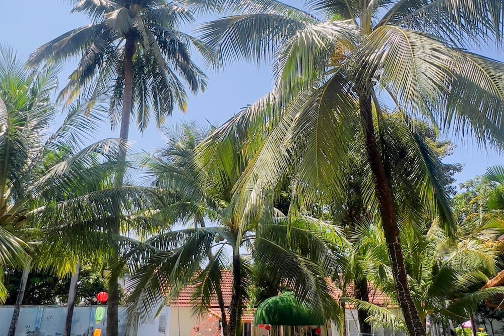 Cảnh ngoài trời Ảnh