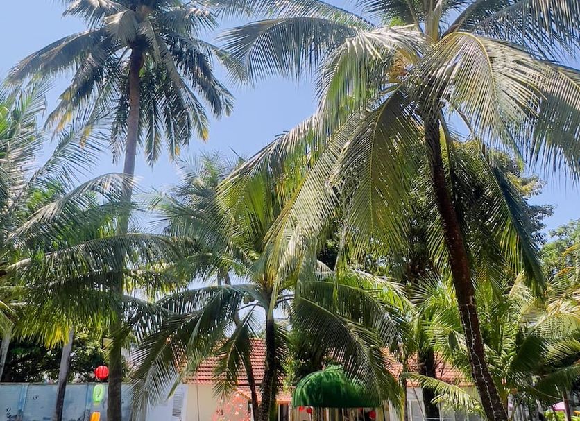 Cảnh ngoài trời Ảnh