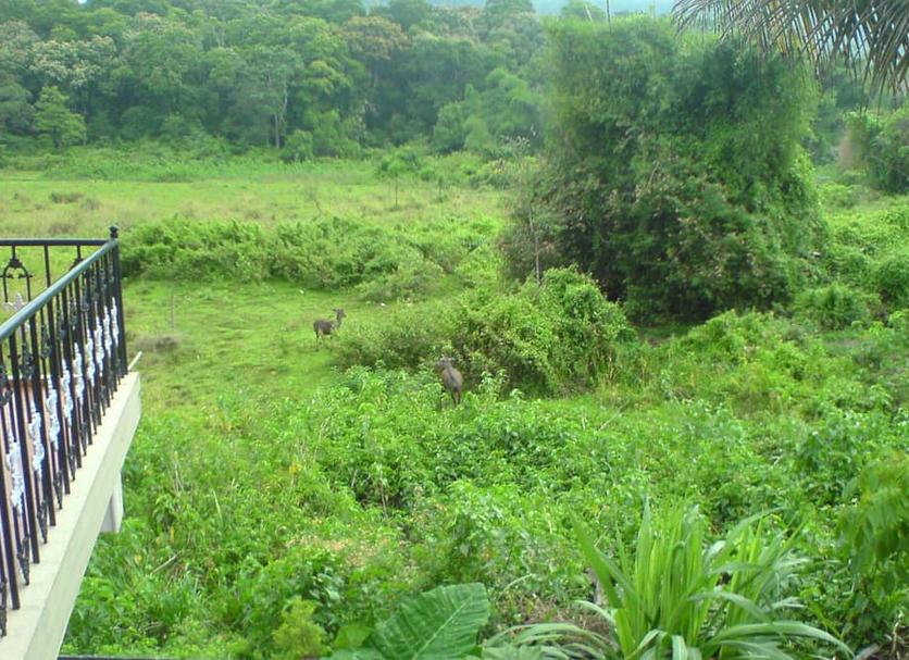 Cảnh ngoài trời Ảnh
