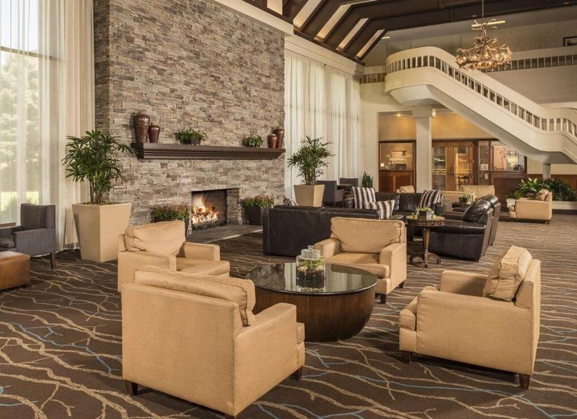 Lounge Ảnh