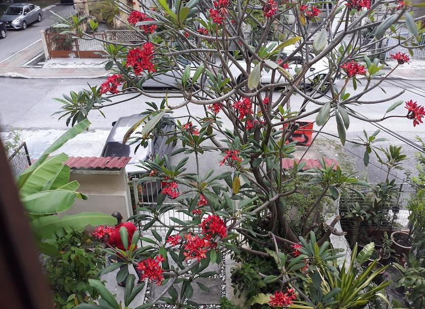 Cảnh ngoài trời Ảnh