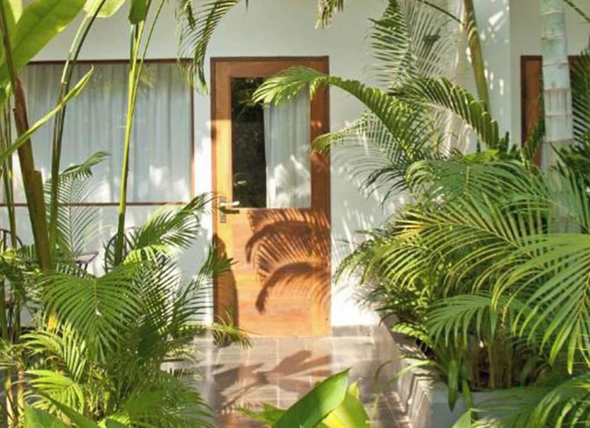 Cảnh ngoài trời Ảnh