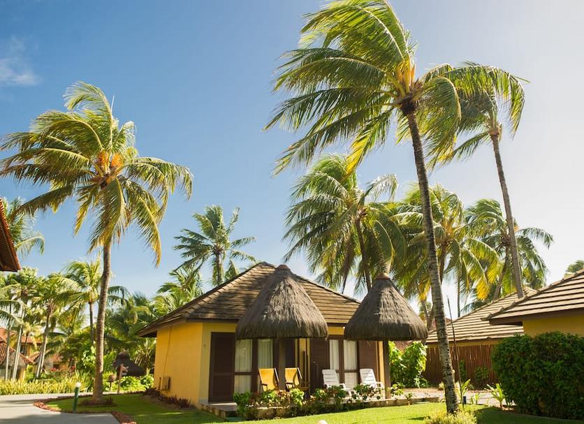 Cảnh ngoài trời Ảnh