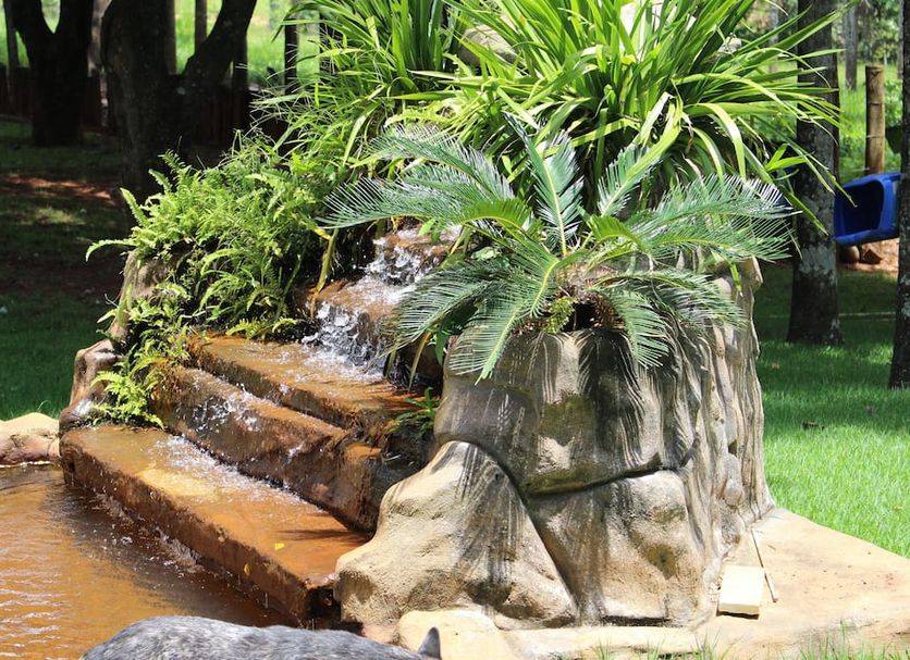 Khác Ảnh
